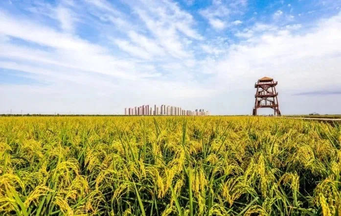 《天津市种植业“十四五”发展规划》印发