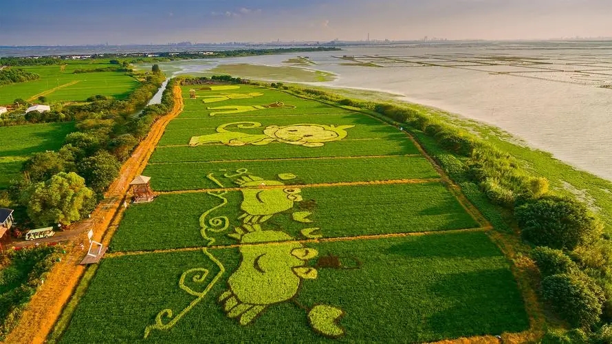 江苏打造10个省级休闲农业