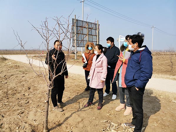 响水县黄圩现代农业园规划项目启动