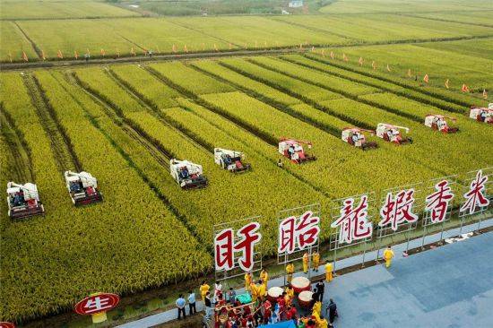 盱眙县打造现代农业高质量发展示范样板